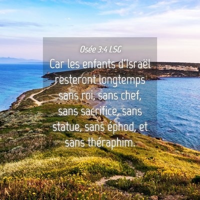 Picture 04 - Osée 3:4 LSG - Car les enfants d'Israël resteront longtemps - Bible Verse Picture