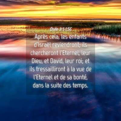 Picture 04 - Osée 3:5 LSG - Après cela, les enfants d'Israël reviendront; - Bible Verse Picture