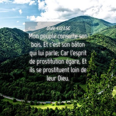 Picture 04 - Osée 4:12 LSG - Mon peuple consulte son bois, Et c'est son bâton - Bible Verse Picture