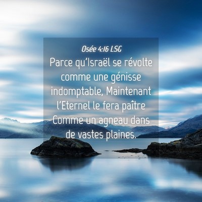 Picture 04 - Osée 4:16 LSG - Parce qu'Israël se révolte comme une génisse - Bible Verse Picture