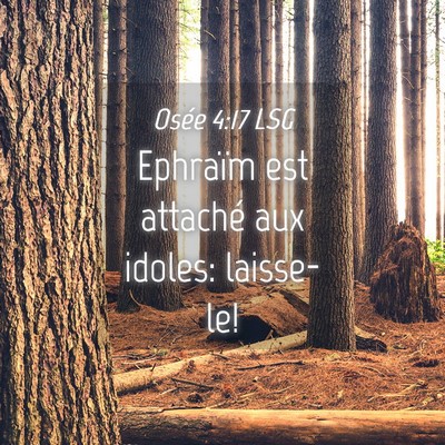 Picture 04 - Osée 4:17 LSG - Ephraïm est attaché aux idoles: - Bible Verse Picture