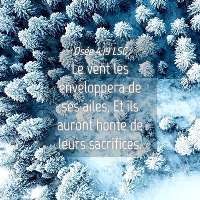 Picture 04 - Osée 4:19 LSG - Le vent les enveloppera de ses ailes, Et ils - Bible Verse Picture
