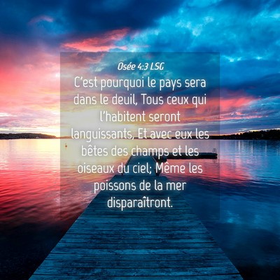 Picture 04 - Osée 4:3 LSG - C'est pourquoi le pays sera dans le deuil, Tous - Bible Verse Picture
