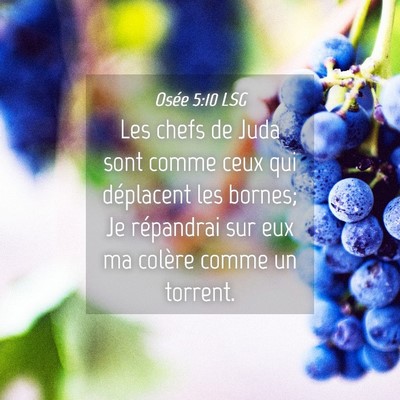 Picture 04 - Osée 5:10 LSG - Les chefs de Juda sont comme ceux qui déplacent - Bible Verse Picture