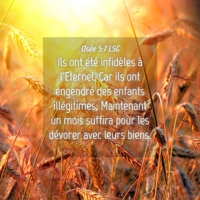 Picture 04 - Osée 5:7 LSG - Ils ont été infidèles à l'Eternel, Car ils - Bible Verse Picture
