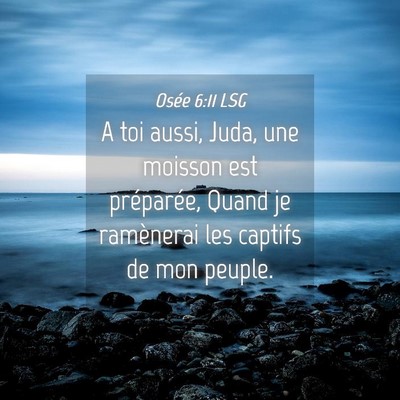 Picture 04 - Osée 6:11 LSG - A toi aussi, Juda, une moisson est préparée, - Bible Verse Picture