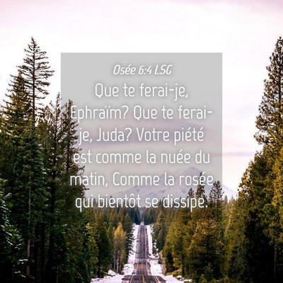 Picture 04 - Osée 6:4 LSG - Que te ferai-je, Ephraïm? Que te ferai-je, Juda? - Bible Verse Picture