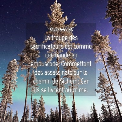 Picture 04 - Osée 6:9 LSG - La troupe des sacrificateurs est comme une bande - Bible Verse Picture