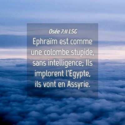 Picture 04 - Osée 7:11 LSG - Ephraïm est comme une colombe stupide, sans - Bible Verse Picture