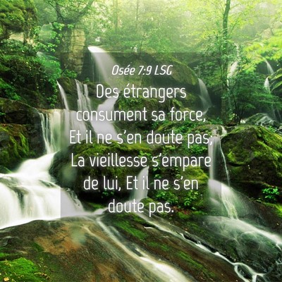 Picture 04 - Osée 7:9 LSG - Des étrangers consument sa force, Et il ne s'en - Bible Verse Picture