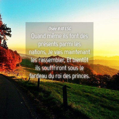 Picture 04 - Osée 8:10 LSG - Quand même ils font des présents parmi les - Bible Verse Picture