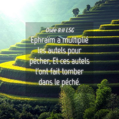 Picture 04 - Osée 8:11 LSG - Ephraïm a multiplié les autels pour pécher, Et - Bible Verse Picture