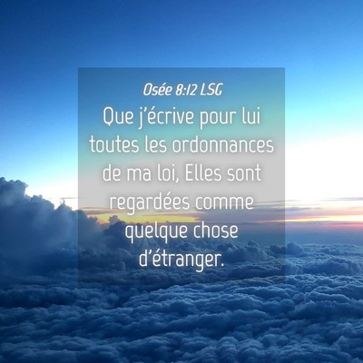 Picture 04 - Osée 8:12 LSG - Que j'écrive pour lui toutes les ordonnances de - Bible Verse Picture