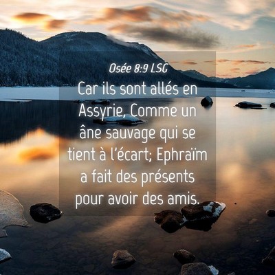Picture 04 - Osée 8:9 LSG - Car ils sont allés en Assyrie, Comme un âne - Bible Verse Picture