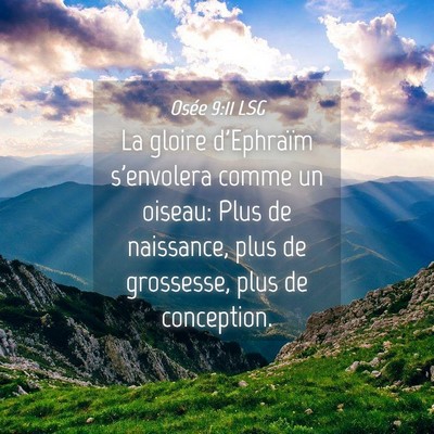 Picture 04 - Osée 9:11 LSG - La gloire d'Ephraïm s'envolera comme un oiseau: - Bible Verse Picture