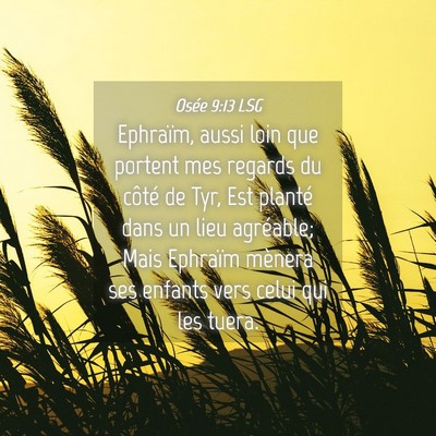 Picture 04 - Osée 9:13 LSG - Ephraïm, aussi loin que portent mes regards du - Bible Verse Picture