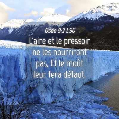 Picture 04 - Osée 9:2 LSG - L'aire et le pressoir ne les nourriront pas, Et - Bible Verse Picture