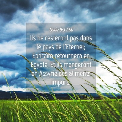 Picture 04 - Osée 9:3 LSG - Ils ne resteront pas dans le pays de l'Eternel; - Bible Verse Picture