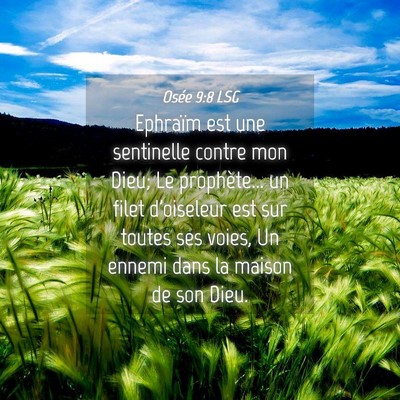 Picture 04 - Osée 9:8 LSG - Ephraïm est une sentinelle contre mon Dieu; Le - Bible Verse Picture