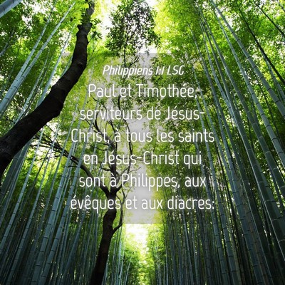Picture 04 - Philippiens 1:1 LSG - Paul et Timothée, serviteurs de Jésus-Christ, - Bible Verse Picture