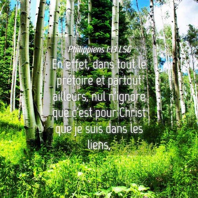 Picture 04 - Philippiens 1:13 LSG - En effet, dans tout le prétoire et partout - Bible Verse Picture