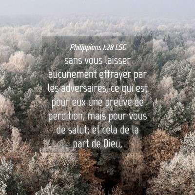 Picture 04 - Philippiens 1:28 LSG - sans vous laisser aucunement effrayer par les - Bible Verse Picture