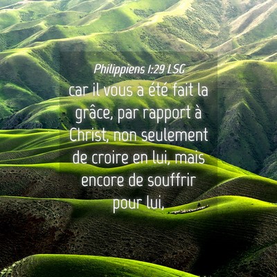 Picture 04 - Philippiens 1:29 LSG - car il vous a été fait la grâce, par rapport - Bible Verse Picture