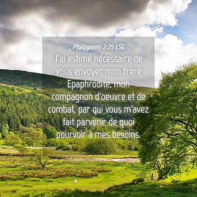 Picture 04 - Philippiens 2:25 LSG - J'ai estimé nécessaire de vous envoyer mon - Bible Verse Picture