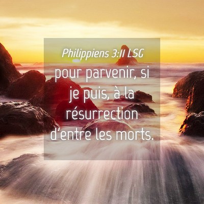Picture 04 - Philippiens 3:11 LSG - pour parvenir, si je puis, à la résurrection - Bible Verse Picture