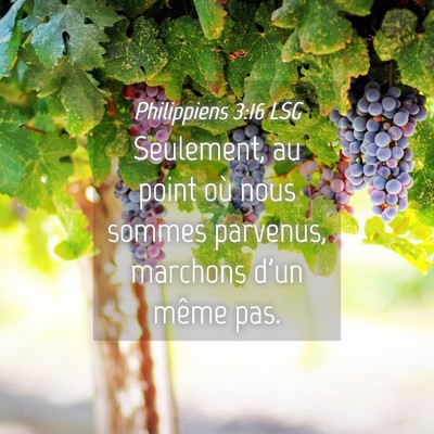 Picture 04 - Philippiens 3:16 LSG - Seulement, au point où nous sommes parvenus, - Bible Verse Picture