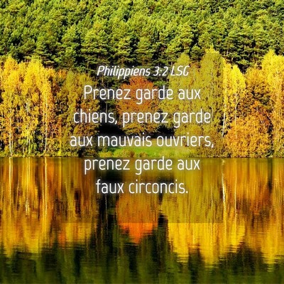 Picture 04 - Philippiens 3:2 LSG - Prenez garde aux chiens, prenez garde aux mauvais - Bible Verse Picture