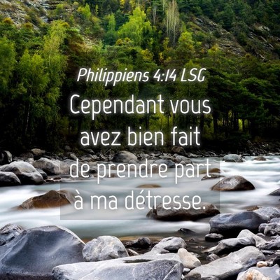 Picture 04 - Philippiens 4:14 LSG - Cependant vous avez bien fait de prendre part à - Bible Verse Picture