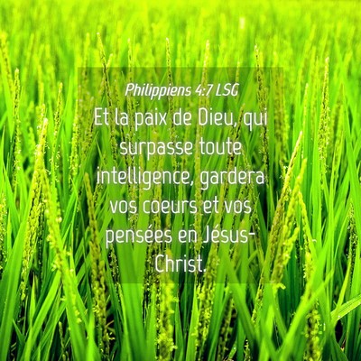 Picture 04 - Philippiens 4:7 LSG - Et la paix de Dieu, qui surpasse toute - Bible Verse Picture