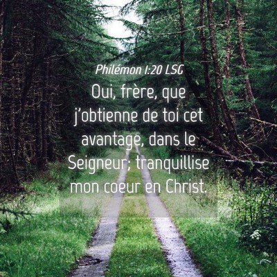 Picture 04 - Philémon 1:20 LSG - Oui, frère, que j'obtienne de toi cet avantage, - Bible Verse Picture
