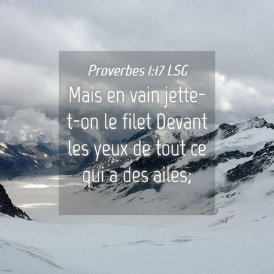 Picture 04 - Proverbes 1:17 LSG - Mais en vain jette-t-on le filet Devant les yeux - Bible Verse Picture
