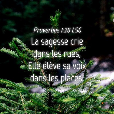 Picture 04 - Proverbes 1:20 LSG - La sagesse crie dans les rues, Elle élève sa - Bible Verse Picture