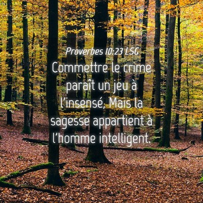Picture 04 - Proverbes 10:23 LSG - Commettre le crime paraît un jeu à l'insensé, - Bible Verse Picture