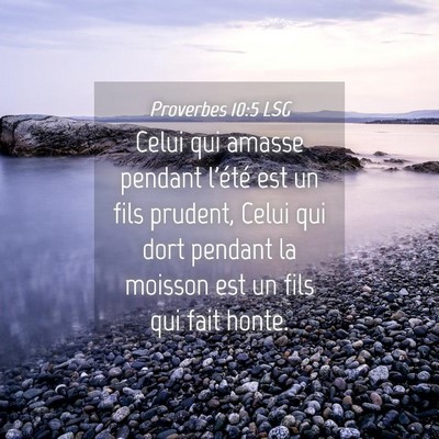 Picture 04 - Proverbes 10:5 LSG - Celui qui amasse pendant l'été est un fils - Bible Verse Picture
