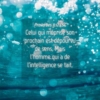 Picture 04 - Proverbes 11:12 LSG - Celui qui méprise son prochain est dépourvu de - Bible Verse Picture
