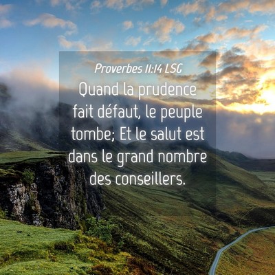 Picture 04 - Proverbes 11:14 LSG - Quand la prudence fait défaut, le peuple tombe; - Bible Verse Picture