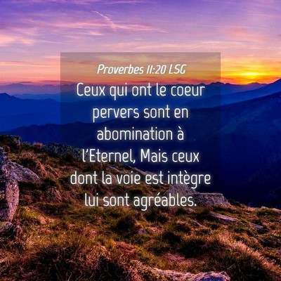 Picture 04 - Proverbes 11:20 LSG - Ceux qui ont le coeur pervers sont en abomination - Bible Verse Picture