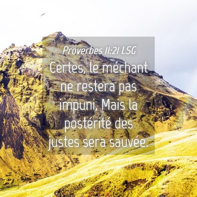 Picture 04 - Proverbes 11:21 LSG - Certes, le méchant ne restera pas impuni, Mais - Bible Verse Picture