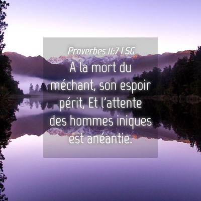 Picture 04 - Proverbes 11:7 LSG - A la mort du méchant, son espoir périt, Et - Bible Verse Picture