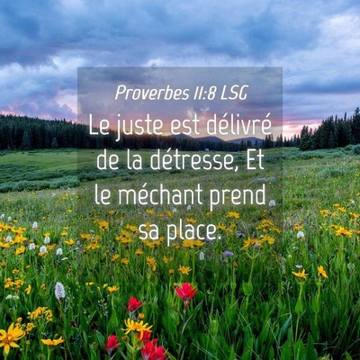Picture 04 - Proverbes 11:8 LSG - Le juste est délivré de la détresse, Et le - Bible Verse Picture