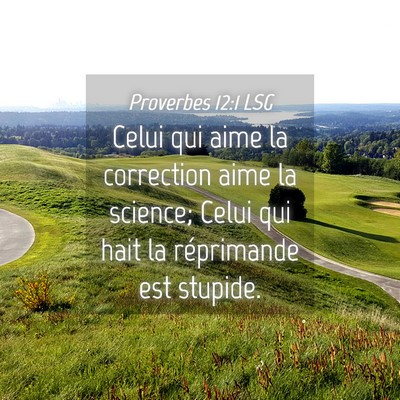 Picture 04 - Proverbes 12:1 LSG - Celui qui aime la correction aime la science; - Bible Verse Picture