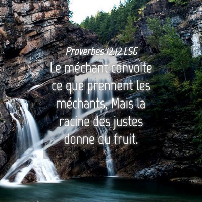 Picture 04 - Proverbes 12:12 LSG - Le méchant convoite ce que prennent les - Bible Verse Picture