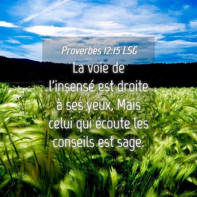 Picture 04 - Proverbes 12:15 LSG - La voie de l'insensé est droite à ses yeux, - Bible Verse Picture