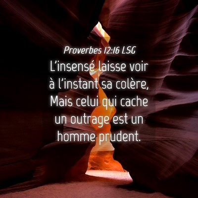 Picture 04 - Proverbes 12:16 LSG - L'insensé laisse voir à l'instant sa colère, - Bible Verse Picture