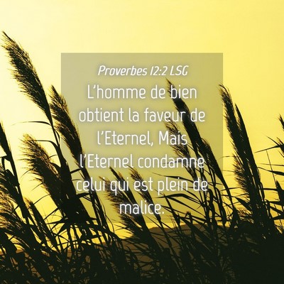 Picture 04 - Proverbes 12:2 LSG - L'homme de bien obtient la faveur de l'Eternel, - Bible Verse Picture