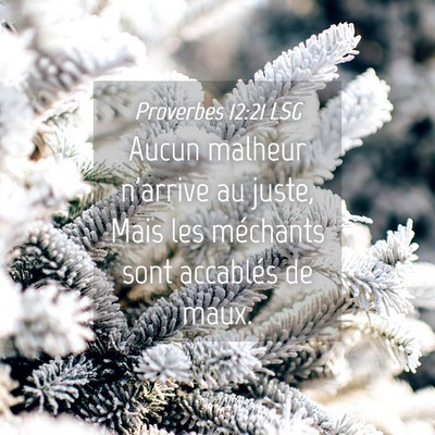 Picture 04 - Proverbes 12:21 LSG - Aucun malheur n'arrive au juste, Mais les - Bible Verse Picture